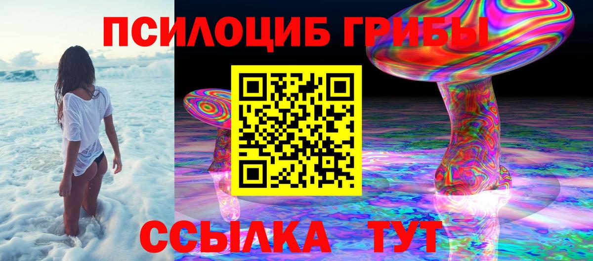 Камышлов  Псилоцибиновые грибы MAGIC MUSHROOMS  Галлюциногенные грибы ЛСД  Вход с VPN 