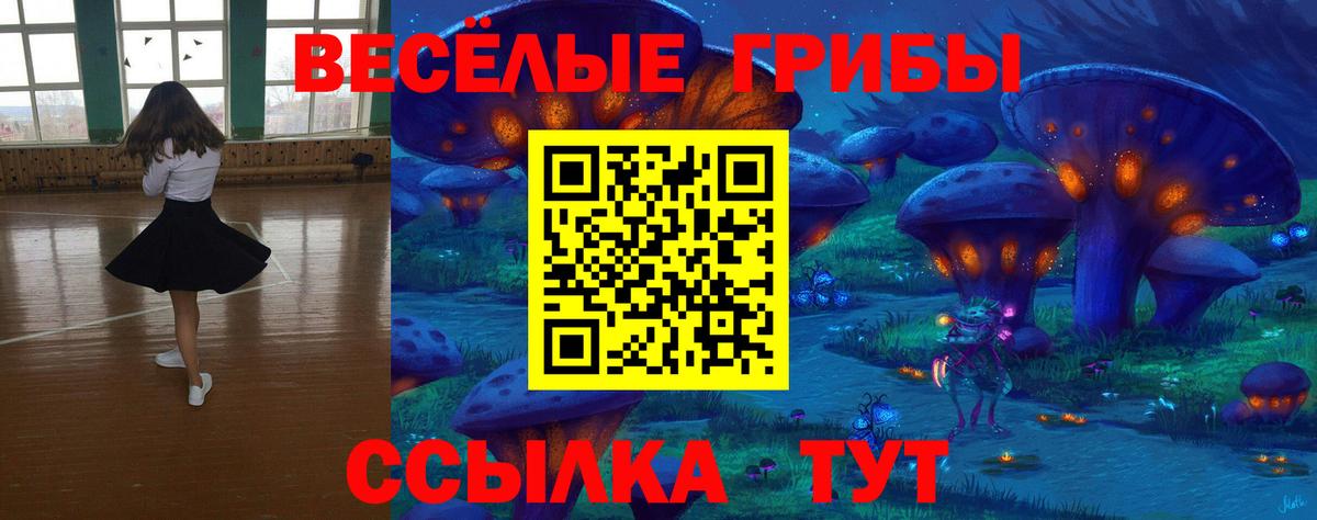Псилоцибиновые грибы Psilocybe Камышлов